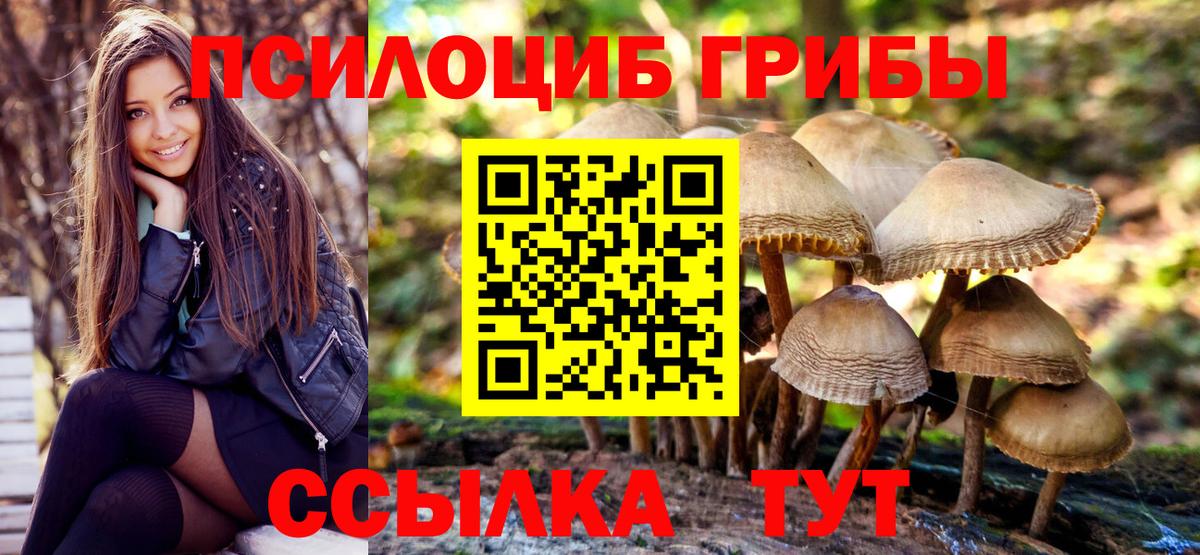 Гудермес  Галлюциногенные грибы ЛСД  Вход с VPN  Псилоцибиновые грибы GOLDEN TEACHER 